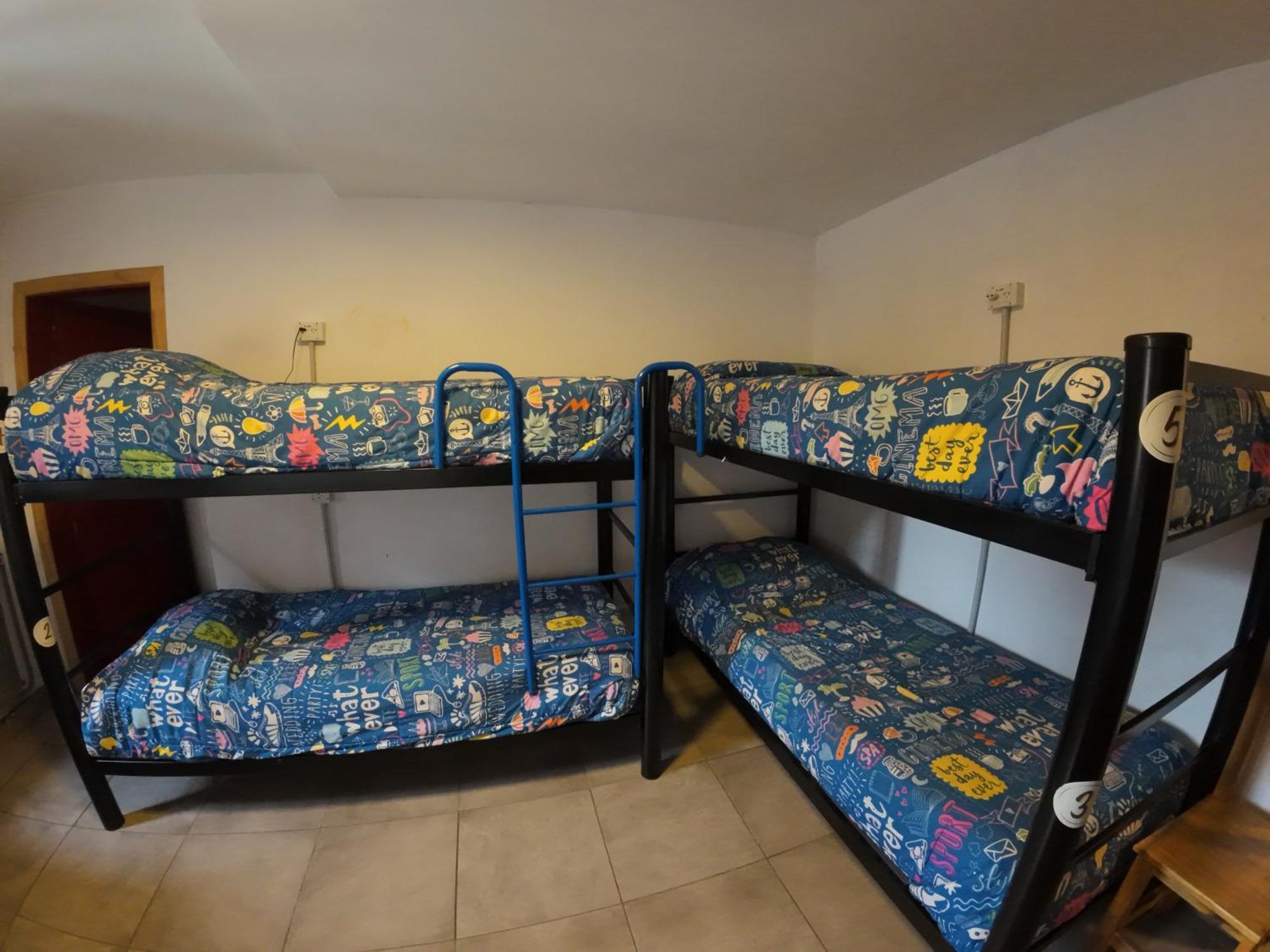 Temiscira Hostel سان كارلوس دي باريلوتشي المظهر الخارجي الصورة