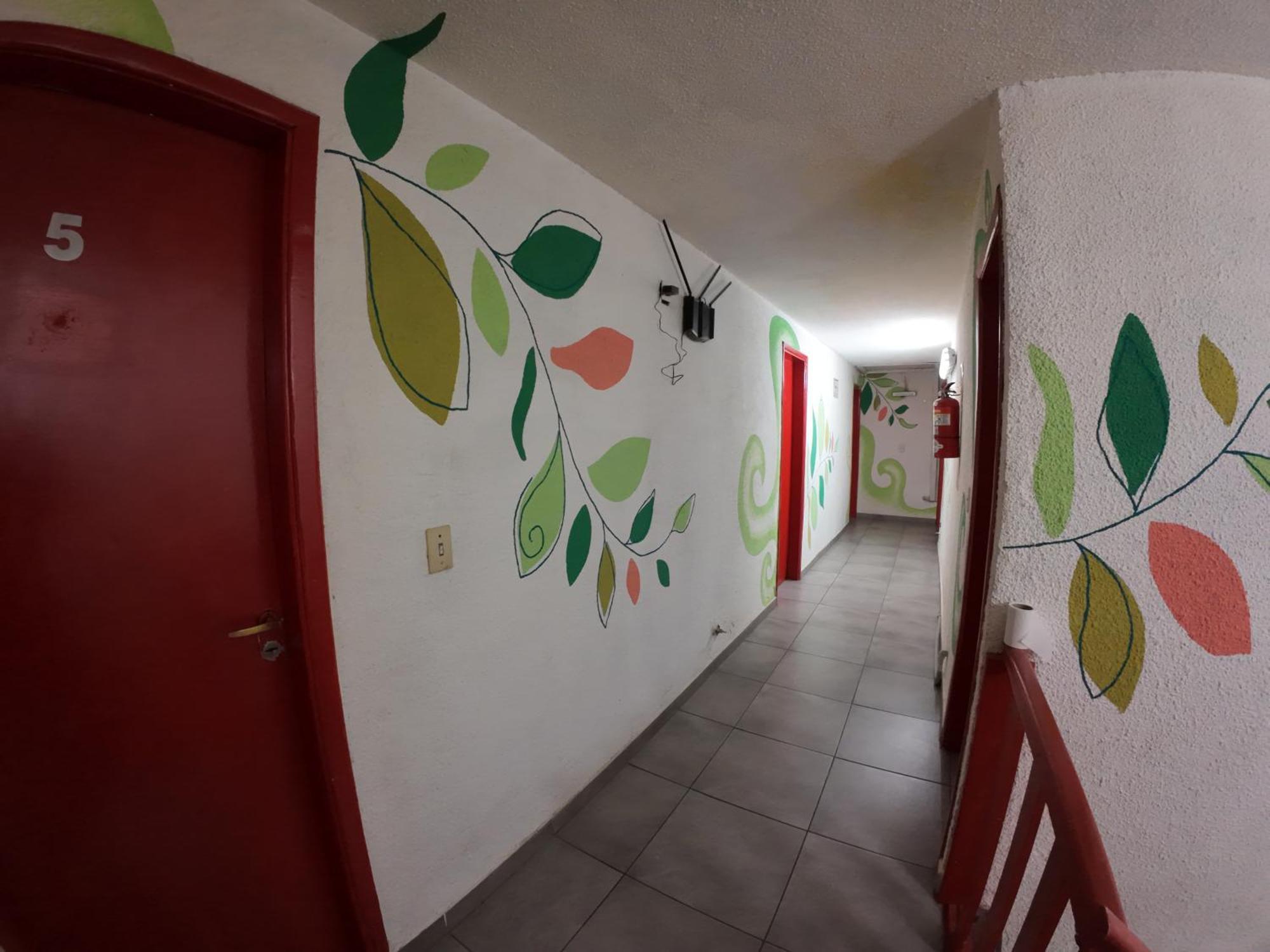 Temiscira Hostel سان كارلوس دي باريلوتشي المظهر الخارجي الصورة